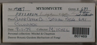 Image Associated With the Occurence